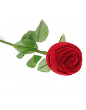 Caixa de flor com cabo Caixa de flor com cabo